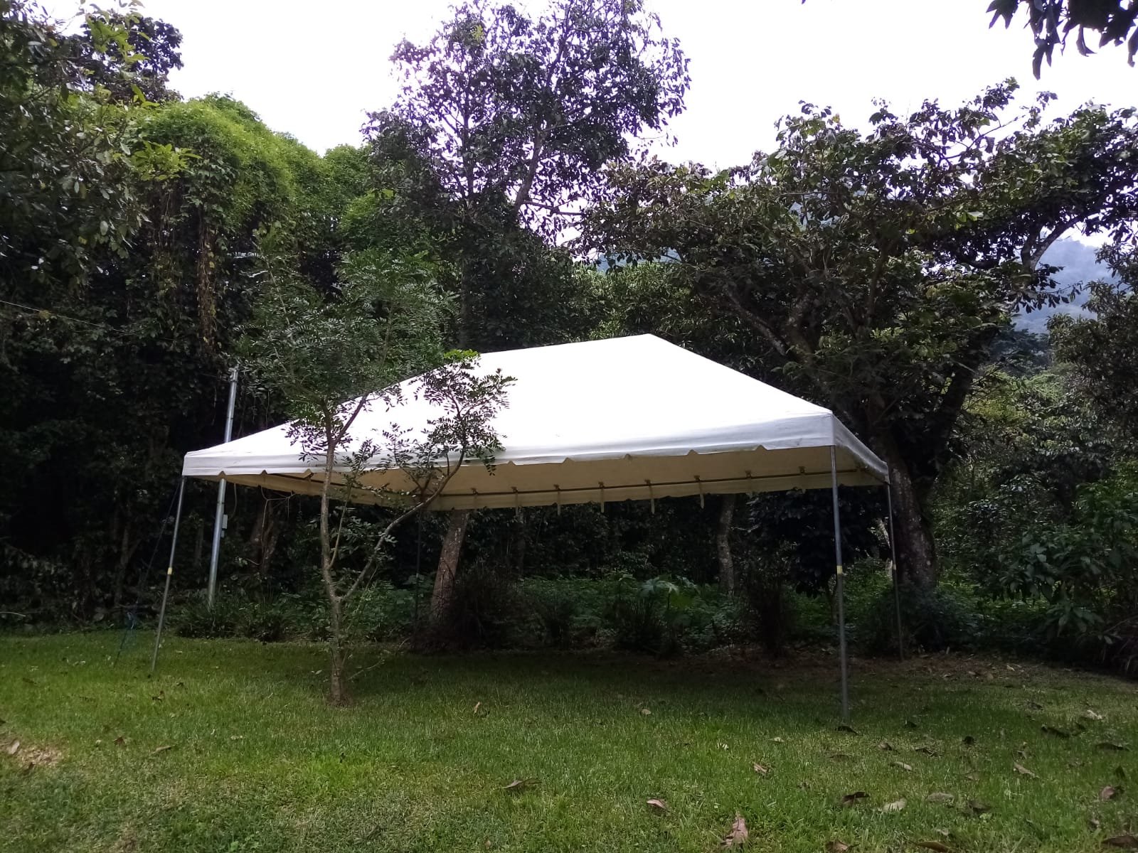 Alquiler de canopis en San Marcos